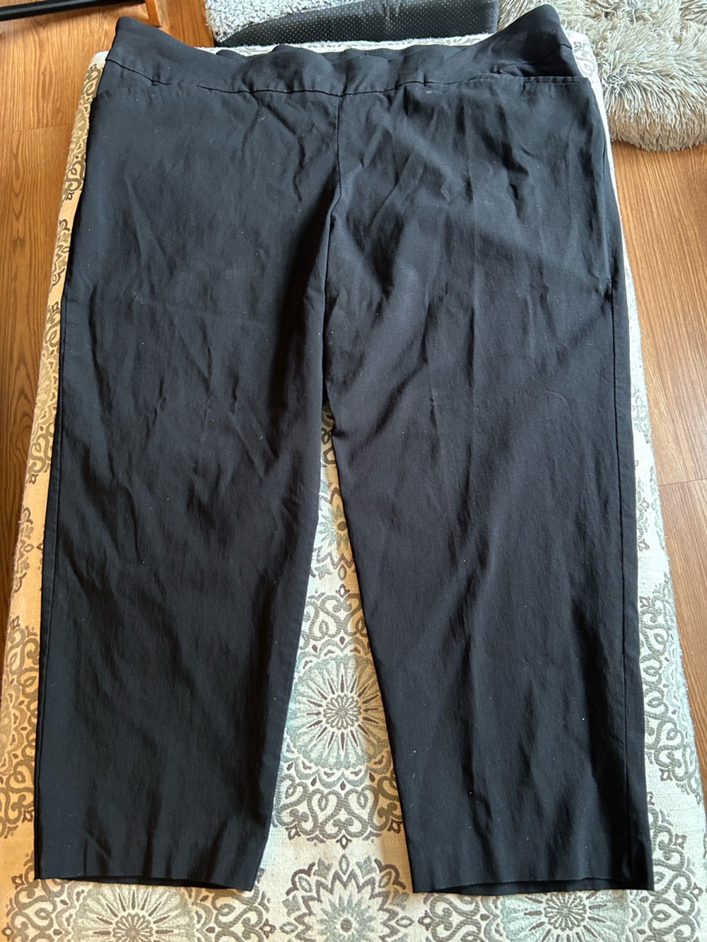 Terra & Sky Black Straight Leg Pants